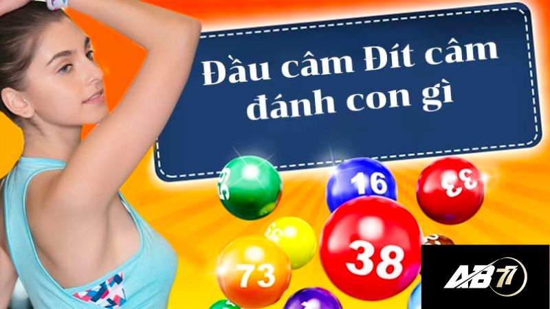 con số về đầu đít câm